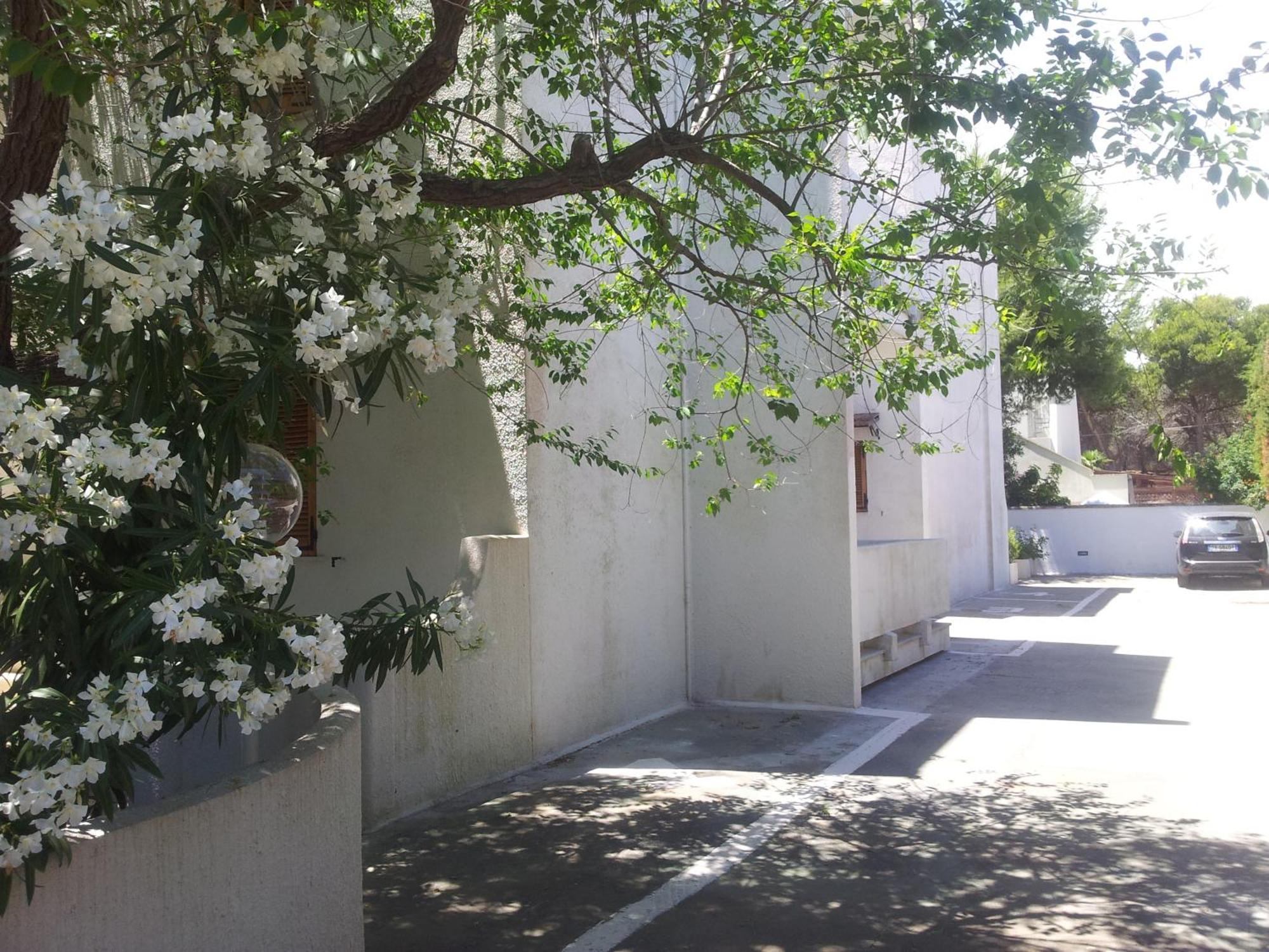 Residence Orsa Minore Gallipoli Kültér fotó